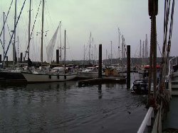 Vlieland Hafen